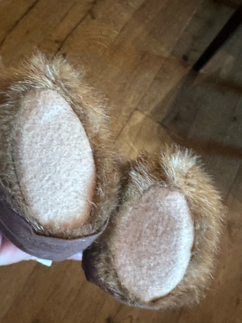 Boyd’s Bear - Picture 7 of 11